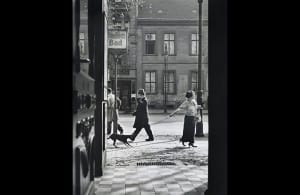 vishniac_recalcitranceedit.jpg__1072x0_q85_upscale